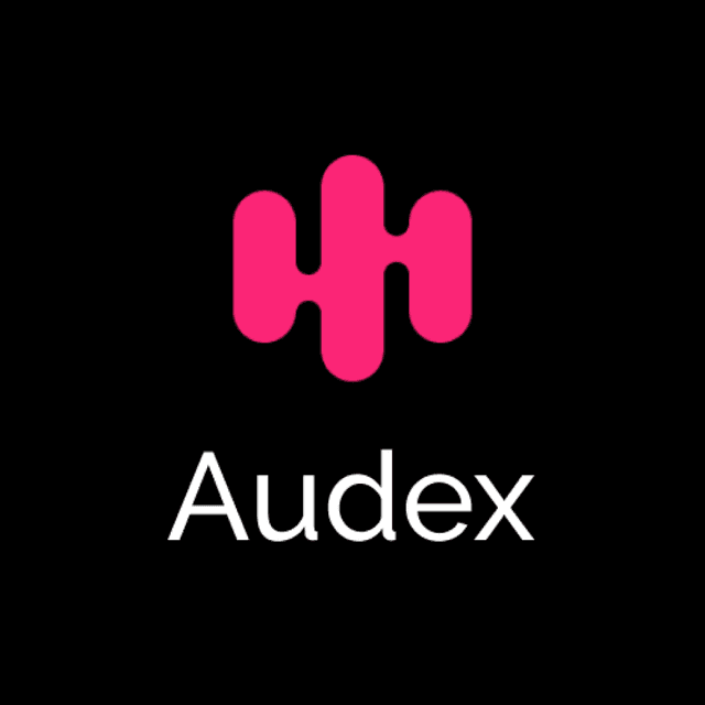 Audex Logo